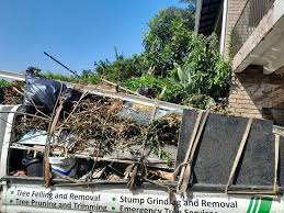 Best Commercial Junk Removal  in Clarence, IA